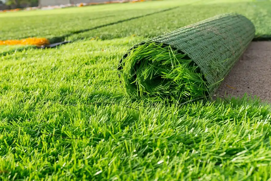 Professional Landscaping Company