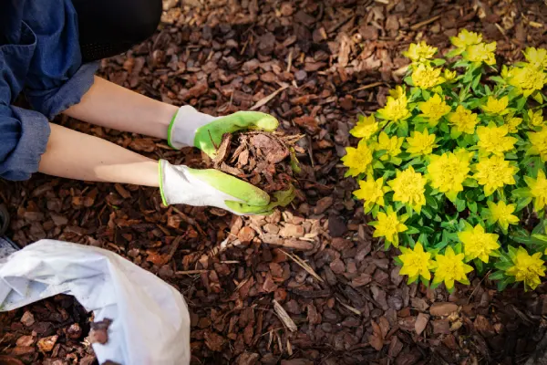 Premium Mulching Middletown, OH