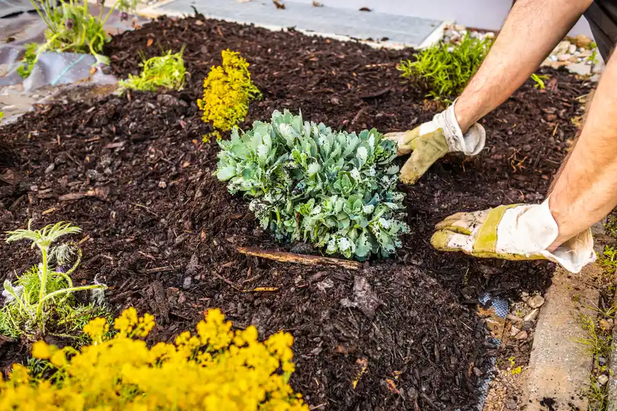 Professional Mulching Middletown, OH