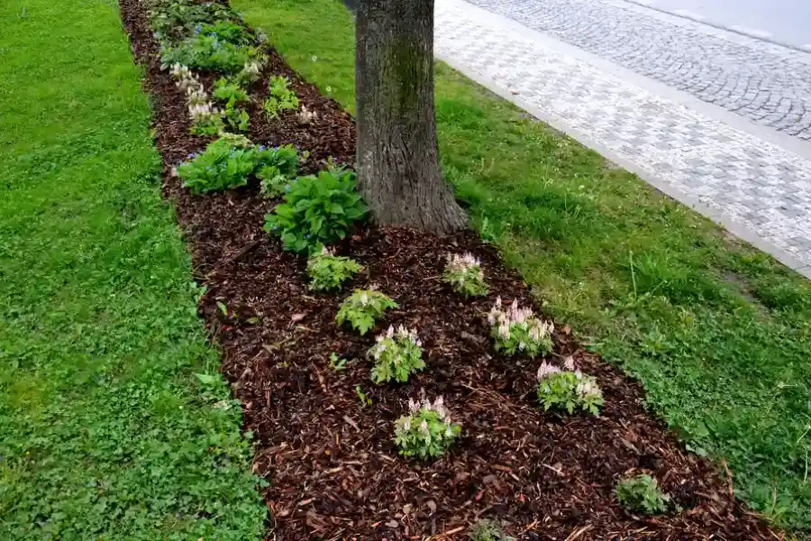 Reliable Mulching Middletown, OH