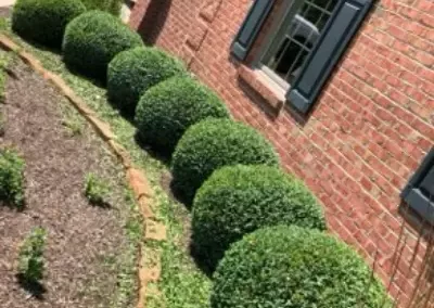 Best Landscaping Services