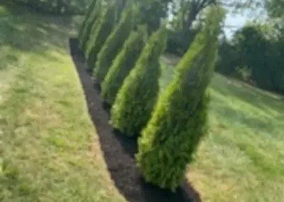 Reliable Landscaping Contractor
