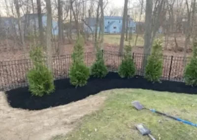 Top Small Backyard Landscaping